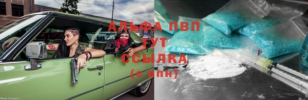 сатива Бронницы