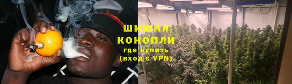 сатива Бронницы