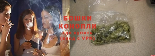 сатива Бронницы