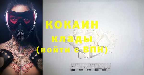сатива Бронницы