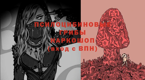 сатива Бронницы