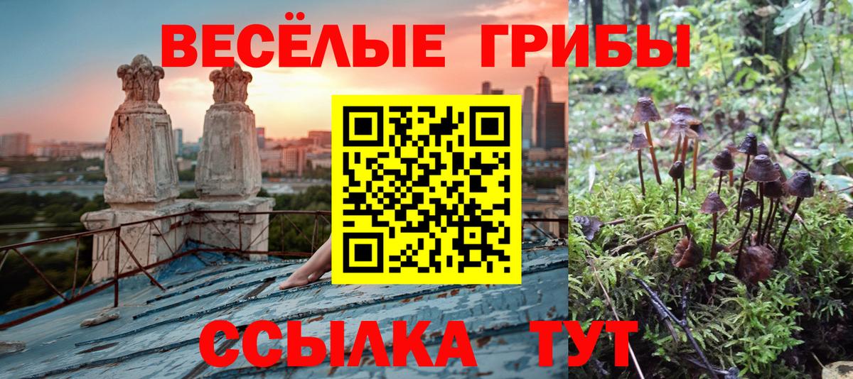Псилоцибиновые грибы Psilocybine cubensis  Вход с VPN  Пушкино  как найти закладки  Псилоцибиновые грибы Cubensis 