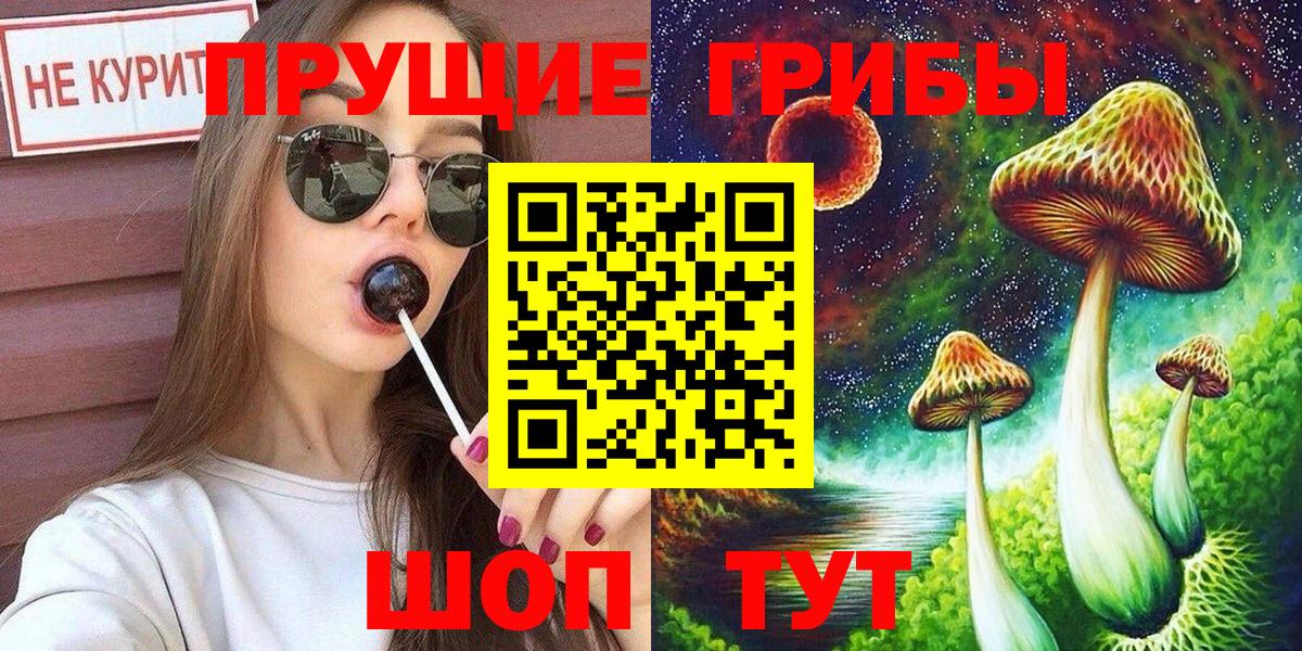 Псилоцибиновые грибы мицелий Пушкино